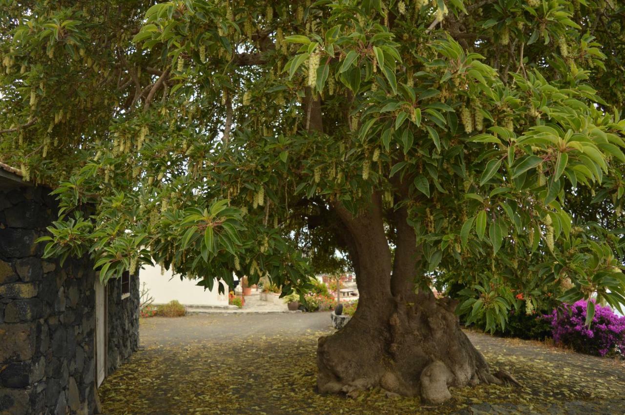 Casona Rural Los Melindros Los Quemados Extérieur photo